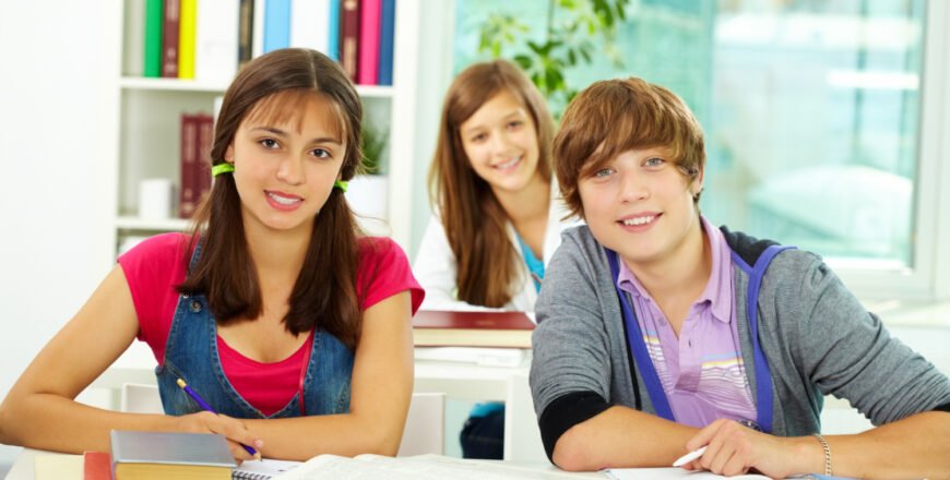 Teen Survival English.jpg